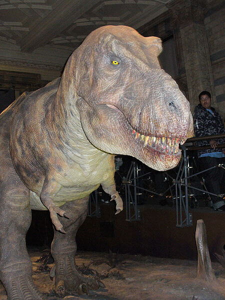 ロンドン自然史博物館の恐竜