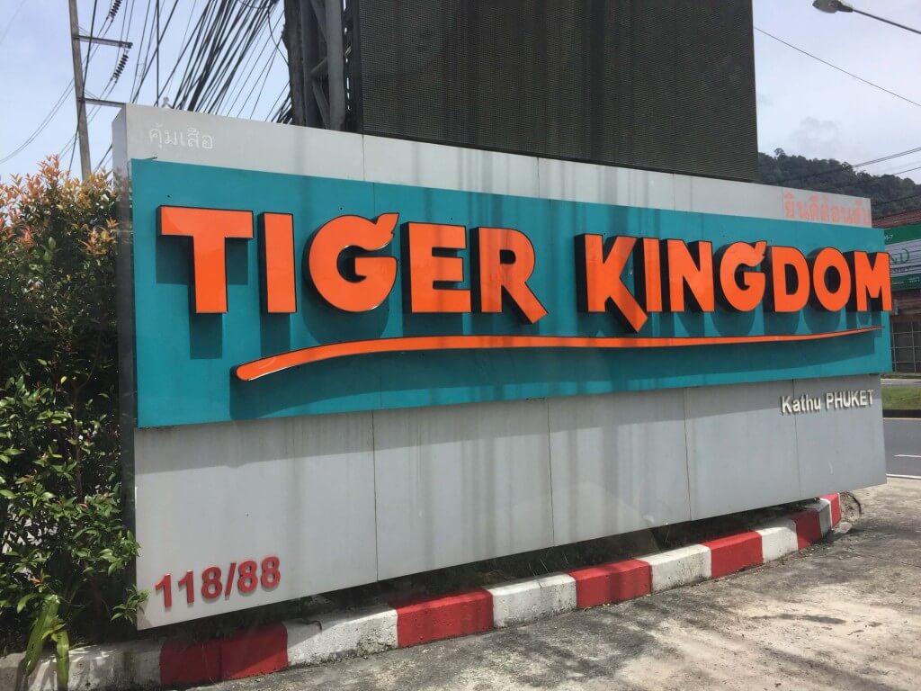 プーケット　虎　タイガーキングダム